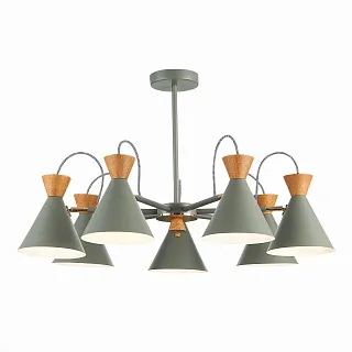 Светильник потолочный Evoluce Modica SLE125112-07