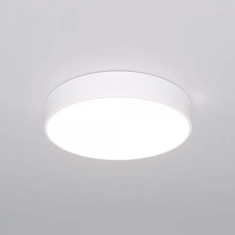 Светильник потолочный Eurosvet Entire 90319/1 белый