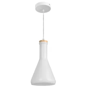 Подвесной светильник Arte Lamp ACCENTO A8114SP-1WH