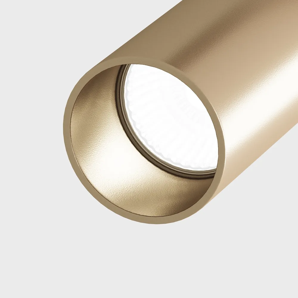 Светильник потолочный Maytoni Elti C020CL-01GB