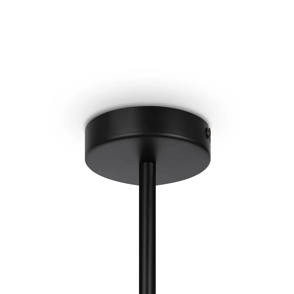 Светильник подвесной Maytoni Memory MOD177PL-04B