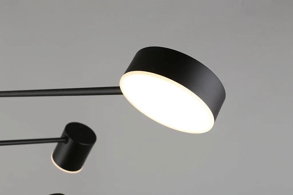 Люстра потолочная Aployt Frania APL.017.07.48