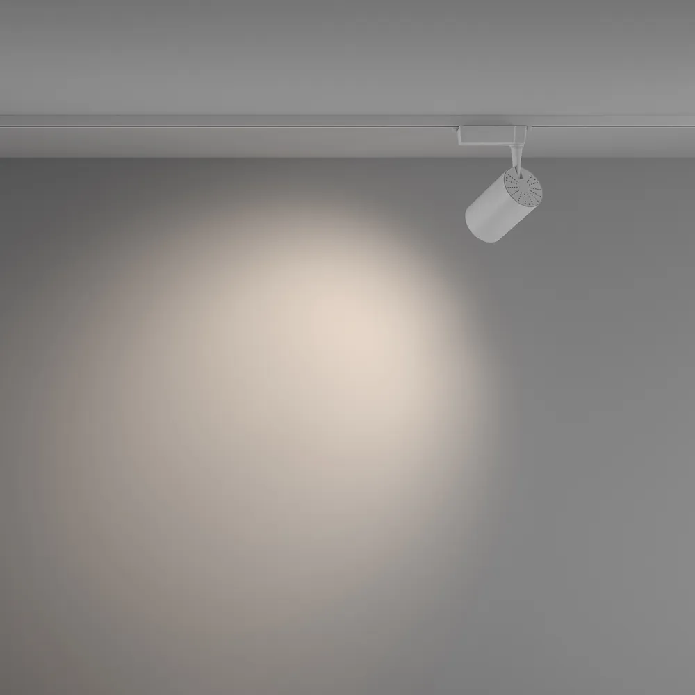 Светильник трековый Maytoni Vuoro TR003-1-15W4K-W-W
