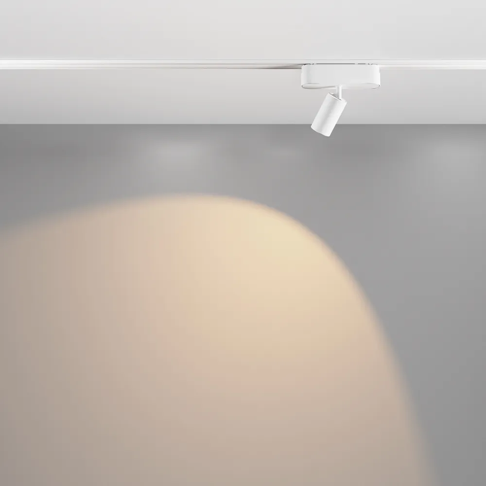 Светильник трековый магнитный Maytoni Focus Led TR103-1-5W3K-M-W