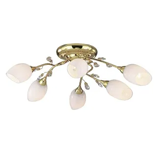 Люстра потолочная Odeon Light Fiera 1604/6